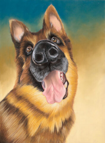 art, arte. ritratto, illustrazione, soft pastels, pastel pencils, portrait, color, realismo, pet, cane, ritratto animale, commissione