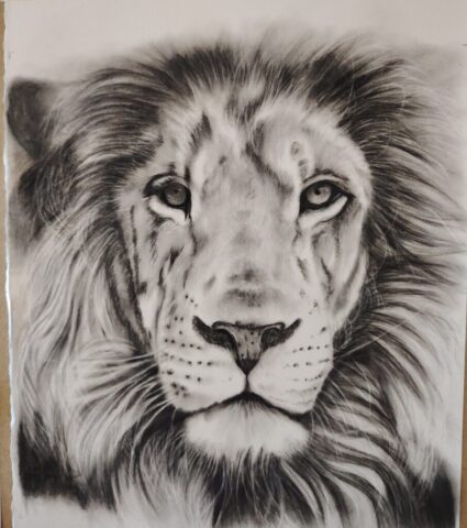 lion, portrait, charcoal, carboncino, ritratto, realismo, animali, ritratto di animale